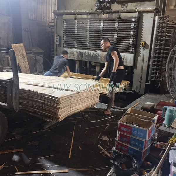 Ván bóc từ gỗ keo non